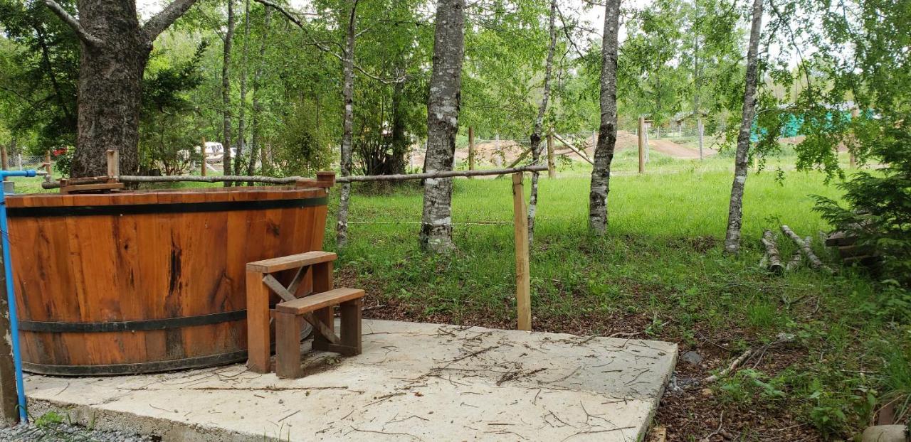 Cabanas Alto Mahuida *